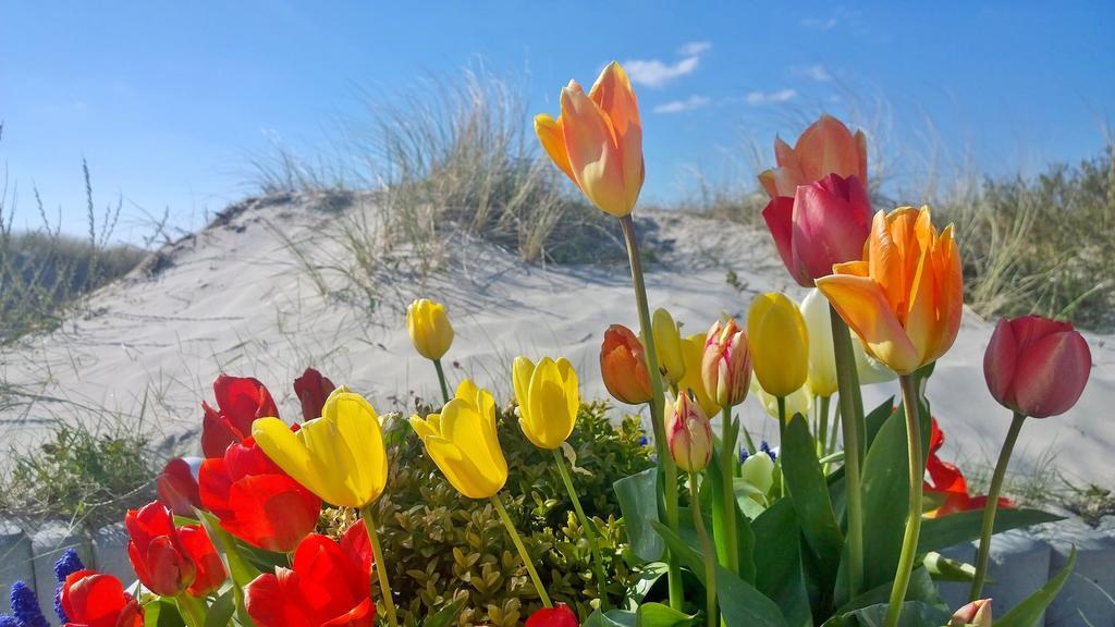Ostsee Ferienappartements Dierhagen-Strand Klein & Fein Exteriör bild